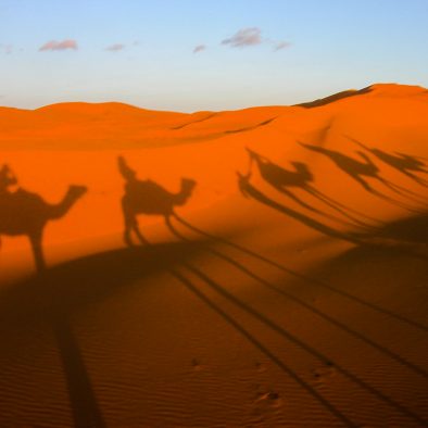 Morocco Sahara Desert Tours - About us