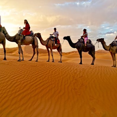 Merzouga Camel trek sunset