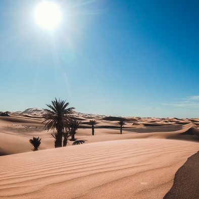 3-day Fez to Marrakech Sahara Desert Tour