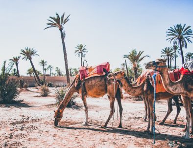 4-day Sahara desert tour from Fez to Marrakech