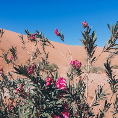 3-day Marrakech to Fez Sahara Desert Tour