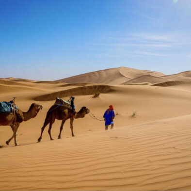 3 day Round-trip Fez Sahara Desert Tours