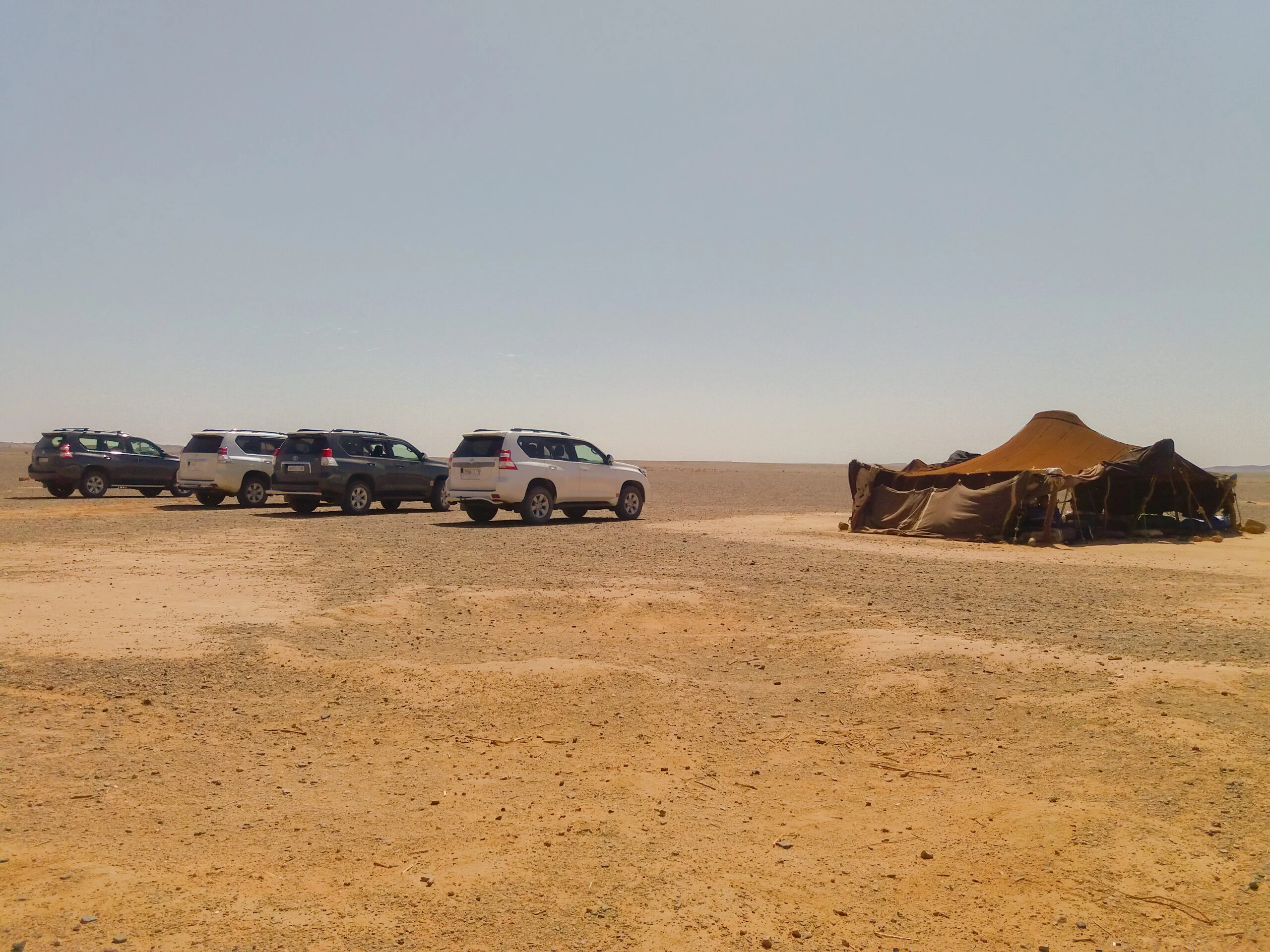 Introducing Morocco Sahara Desert Tours: A Journey of Passion, Heritage, and Hospitality